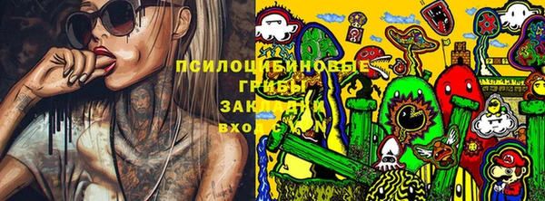 дурь Абинск