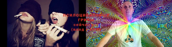 дурь Абинск