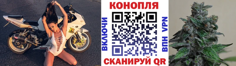 где продают наркотики  Ладушкин  Марихуана MAZAR 